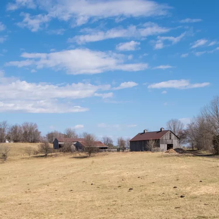 Septic Inspection in Rural Central Arkansas: What a Licensed Eye Catches