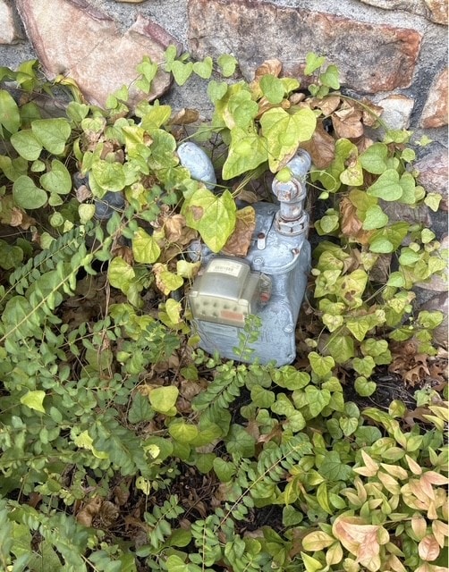 Residential gas service meter and regulator almost entirely overgrown by ivy and vegetation.