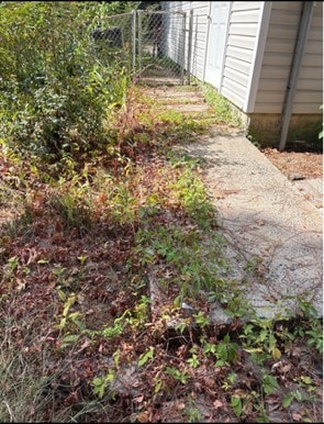 Residential concrete walkway heavily overgrown with weeds and vegetation, with roots displacing the pavement edge.